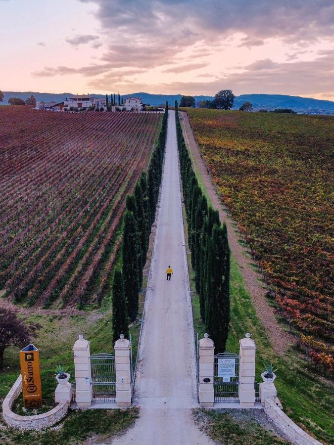 Fattoria Colsanto Villa Torre del Colle Dış mekan fotoğraf