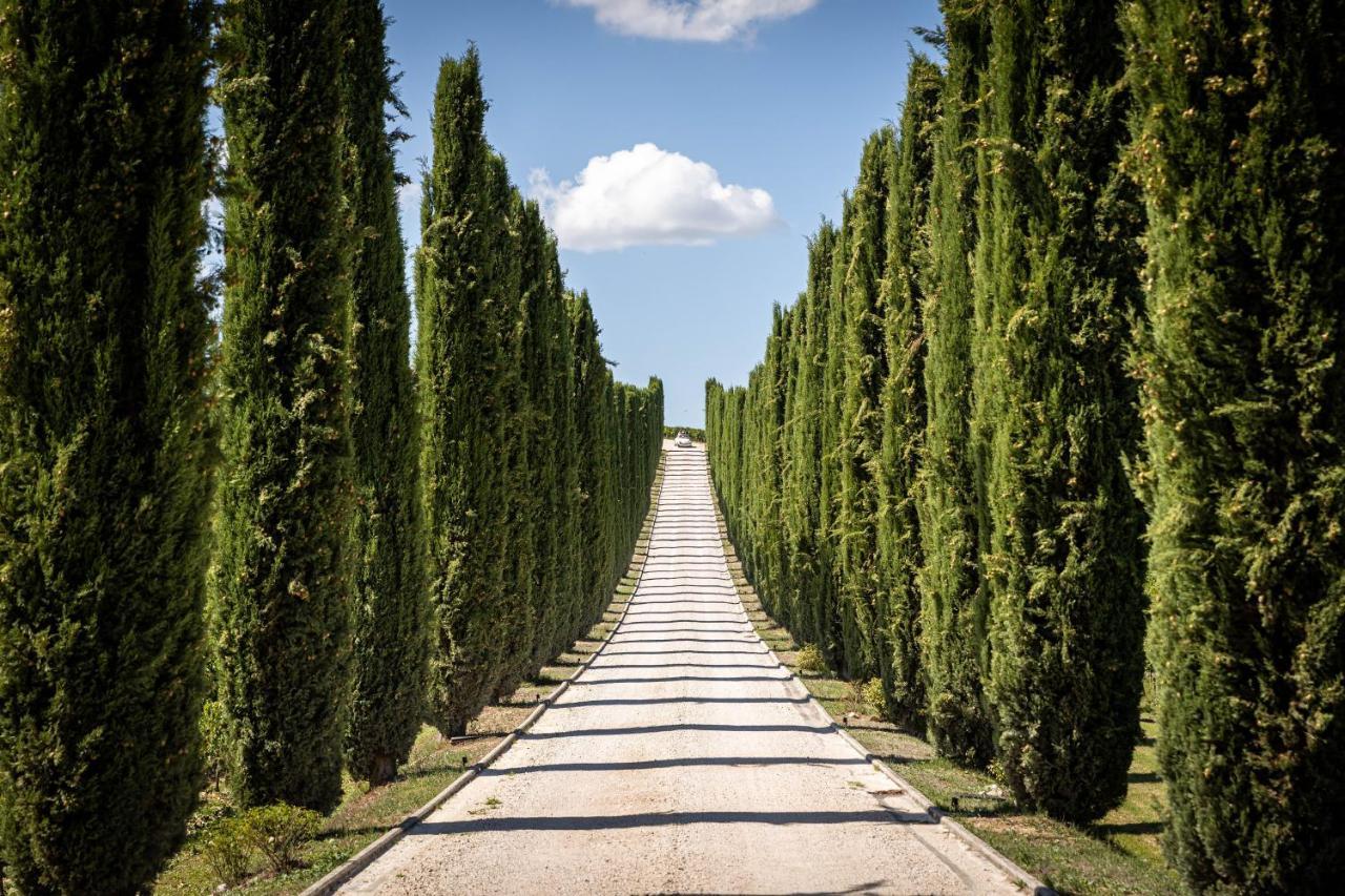Fattoria Colsanto Villa Torre del Colle Dış mekan fotoğraf